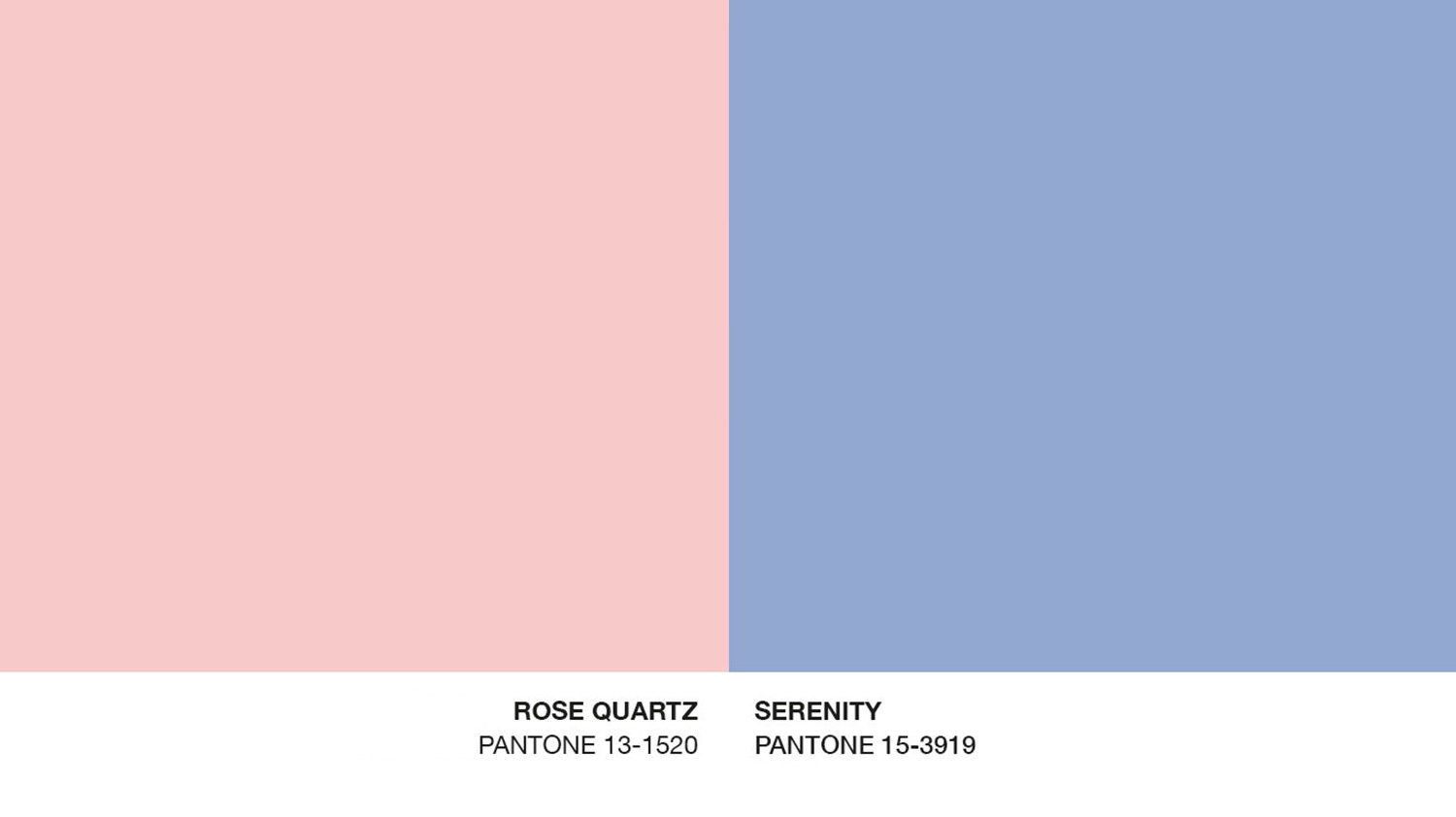 All the colours of the rainbow – The history of Pantone